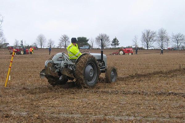 Ploughing 2.jpg